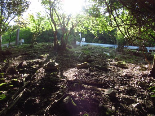 登山道